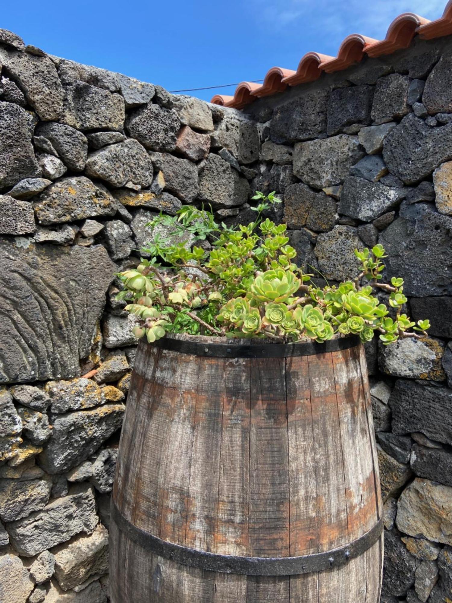 Adega Do Fogo Villa São Roque do Pico Esterno foto